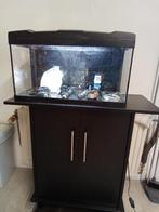 Aquarium jewel met kast, Dieren en Toebehoren, Ophalen, Gebruikt, Leeg aquarium