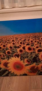 Afdekplaat voor kookplaat in de keuken., Huis en Inrichting, Keuken | Keukenbenodigdheden, Ophalen, Zo goed als nieuw