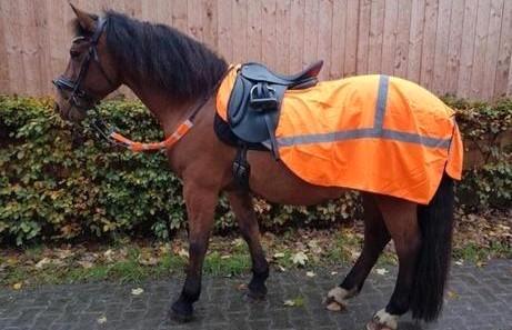 NIEUW Reflectiesetje paard / reflectie deken paard, Dieren en Toebehoren, Paarden en Pony's | Dekens en Dekjes, Nieuw, Ophalen of Verzenden