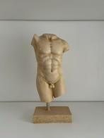 Torso van een mannelijk lichaam - 30 cm, Ophalen of Verzenden