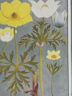 1910 Alpenplantjes Anemonen (sulfurea en Alpina), Antiek en Kunst, Kunst | Litho's en Zeefdrukken, Ophalen of Verzenden