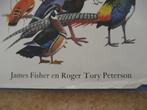 Vogelboek, Boeken, Ophalen of Verzenden, Zo goed als nieuw, Paarden of Pony's