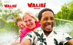 Walibi Holland 2 tickets kaartjes, Twee personen, Ticket of Toegangskaart