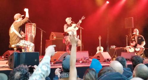 3 Kaarten Manu Chao Nijmegen 6 juni, Tickets en Kaartjes, Concerten | Pop, Drie personen of meer, Juni