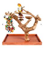 Speelstandaard voor vogels, Meerdere dieren, Parkiet