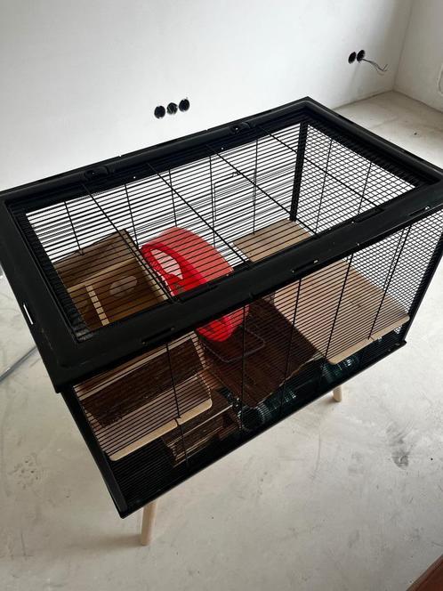 Hamster kooi (afhalen!), Dieren en Toebehoren, Knaagdieren en Konijnen | Hokken en Kooien, Zo goed als nieuw, Kooi, 60 tot 90 cm