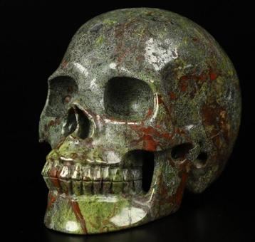 Schedel, dragon blood jasper , skull. Hand gesneden beschikbaar voor biedingen