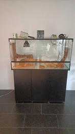 Terrarium 120x50x60 met meubel en accessoires, Ophalen, Gebruikt, Terrarium of Paludarium