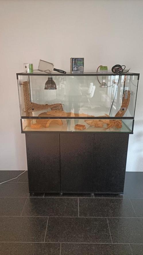 Terrarium 120x50x60 met meubel en accessoires, Dieren en Toebehoren, Reptielen en Amfibieën | Toebehoren, Gebruikt, Terrarium of Paludarium