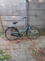 Damesfiets studentenfiets, Overige merken, Gebruikt, Versnellingen, 56 cm of meer