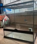 Terrarium exo terra 60x45x60, Dieren en Toebehoren, Reptielen en Amfibieën | Toebehoren, Ophalen, Gebruikt, Terrarium of Paludarium