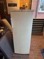 Vrieskast, Gebruikt, Minder dan 60 cm, Energieklasse A of zuiniger, 140 tot 160 cm