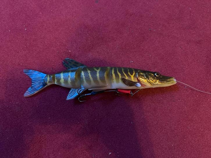 Savage Gear 4D Line Thru Pike 25cm - Snoekbaars, Watersport en Boten, Hengelsport | Karpervissen, Nieuw, Overige typen, Ophalen of Verzenden