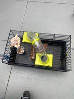 For hamster, Dieren en Toebehoren, Knaagdieren en Konijnen | Hokken en Kooien, Minder dan 60 cm, Kooi, Minder dan 75 cm, Ophalen of Verzenden