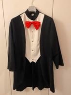 Heren slipjas, Ophalen of Verzenden, Zo goed als nieuw, Maat 46/48 (XL) of groter, Carnaval