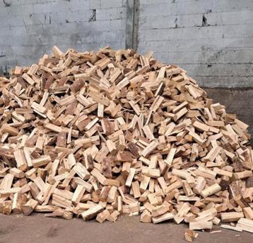 Brandhout Haardhout Kachelhout Naaldhout Vuurkorfhout droog! beschikbaar voor biedingen