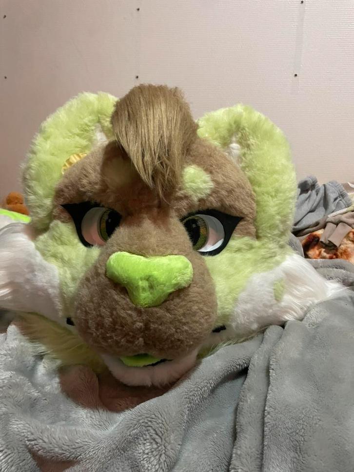 Fursuit for trade (not sure), Hobby en Vrije tijd, Kostuums, Theaterbenodigdheden en LARP, Zo goed als nieuw, Ophalen