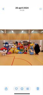 Mascotte Kostuums te koop, Ophalen of Verzenden, Gebruikt, Kostuum, Overige