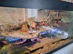 Aquaterrarium te koop, Dieren en Toebehoren, Ophalen, Zo goed als nieuw, Terrarium of Paludarium