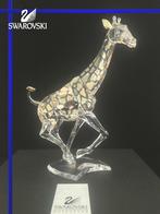 Swarovski Giraf incl. doos & certificaat, Verzamelen, Swarovski, Nieuw, Ophalen of Verzenden, Figuurtje