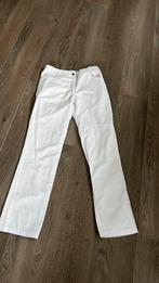 2 verpleegkundige broeken xs en s, Kleding | Dames, Wit, Ophalen of Verzenden, Zo goed als nieuw, Driekwart