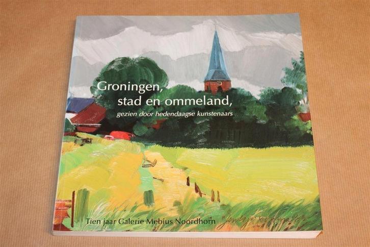 Groningen, Stad en Ommeland — Hedendaagse Kunstenaars, Boeken, Kunst en Cultuur | Beeldend, Zo goed als nieuw, Ophalen of Verzenden