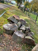 Partij Beukenhout in schijven, Tuin en Terras, Haardhout, 6 m³ of meer, Ophalen, Beukenhout, Blokken