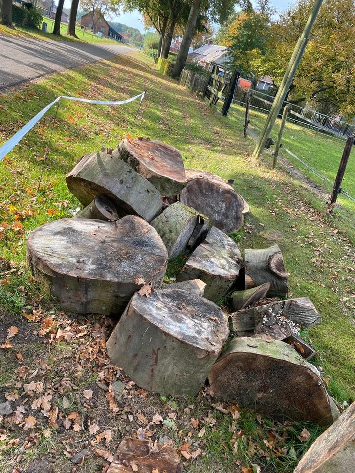 Partij Beukenhout in schijven, Tuin en Terras, Haardhout, Blokken, Beukenhout, 6 m³ of meer, Ophalen
