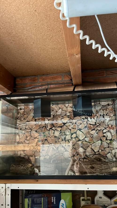 Terrarium 80x50x31 cm, Dieren en Toebehoren, Reptielen en Amfibieën