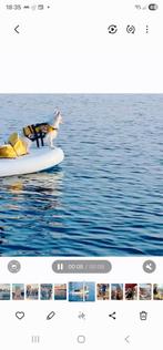 Zwemvest hondje klein, Ophalen of Verzenden, Overige typen