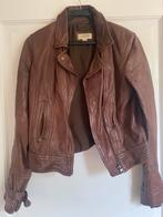 Leren jack van Bershka, Kleding | Dames, Maat 38/40 (M), Bruin, Jasje, Gedragen