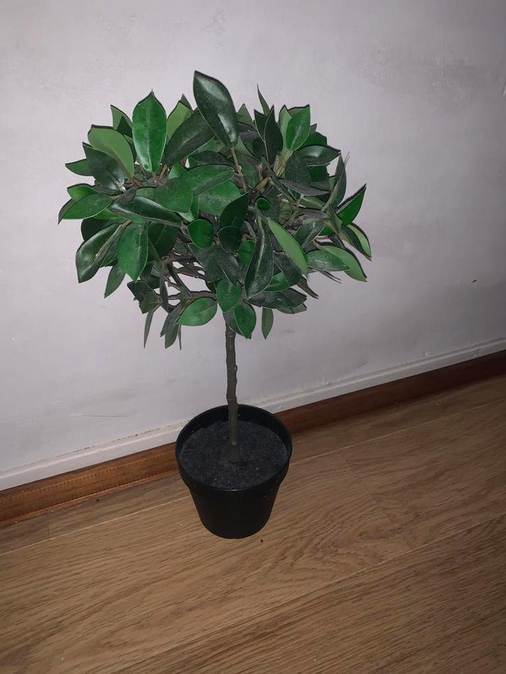 IKEA FEJKA Kunstplant Boompje in Pot, Huis en Inrichting, Woonaccessoires | Kunstplanten en Kunstbloemen, Gebruikt, Binnen, Ophalen of Verzenden