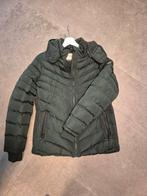 Winterjas Cars dames donker groen, Ophalen of Verzenden, Zo goed als nieuw, Maat 46/48 (XL) of groter, Groen