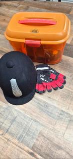 Cap, gevulde poetskist en paardrijdhandschoenen, Ophalen of Verzenden, Zo goed als nieuw, Dressuur