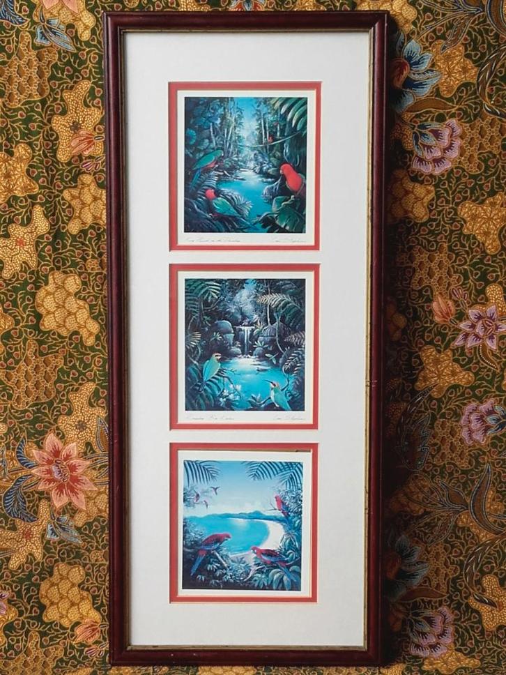 Drie mooie ingelijste vintage prenten met vogels 26-61 cm., Antiek en Kunst, Kunst | Litho's en Zeefdrukken, Ophalen of Verzenden