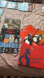 Wim Kan, Cd's en Dvd's, Ophalen of Verzenden, Zo goed als nieuw