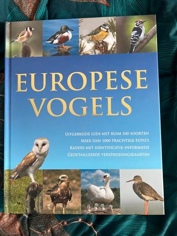 Europese Vogels - Uitgebreide Gids beschikbaar voor biedingen