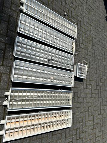 TL bakken met lampen  beschikbaar voor biedingen