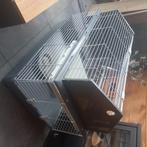 Konijn/ cavia hok, Dieren en Toebehoren, Ophalen, Gebruikt, 60 tot 90 cm, Cavia