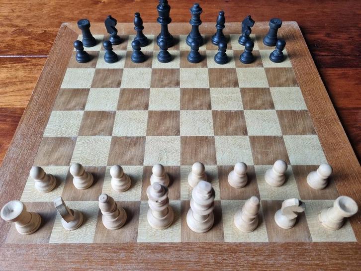 Vintage schaak- en damspel, Hobby en Vrije tijd, Gezelschapsspellen | Bordspellen, Gebruikt, Ophalen of Verzenden