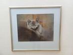 Prent van een kat 39770, Ophalen of Verzenden, Ongelopen, Hond of Kat