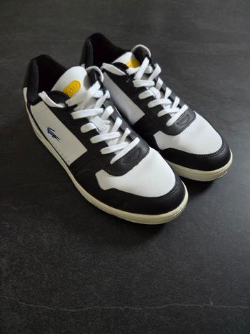 Nieuwe Lacoste Sneakers Maat 41 beschikbaar voor biedingen