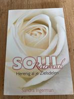 Sandra Ingerman - Soul Retrieval, Sandra Ingerman, Spiritualiteit algemeen, Ophalen of Verzenden, Zo goed als nieuw