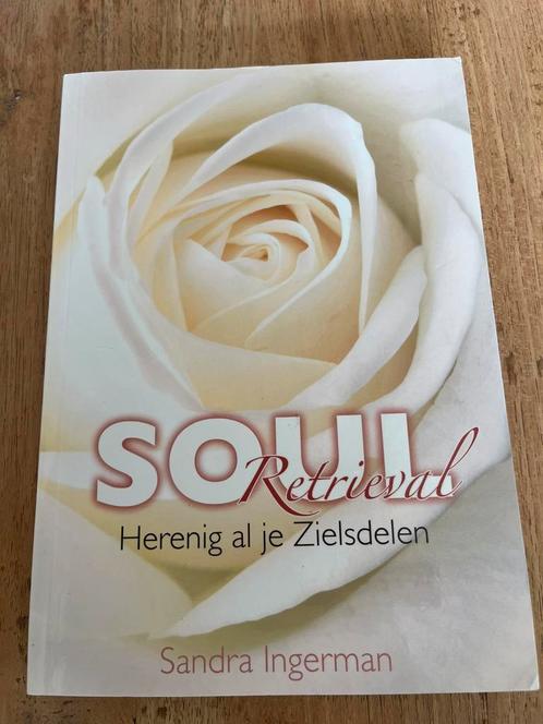 Sandra Ingerman - Soul Retrieval, Boeken, Esoterie en Spiritualiteit, Zo goed als nieuw, Spiritualiteit algemeen, Ophalen of Verzenden