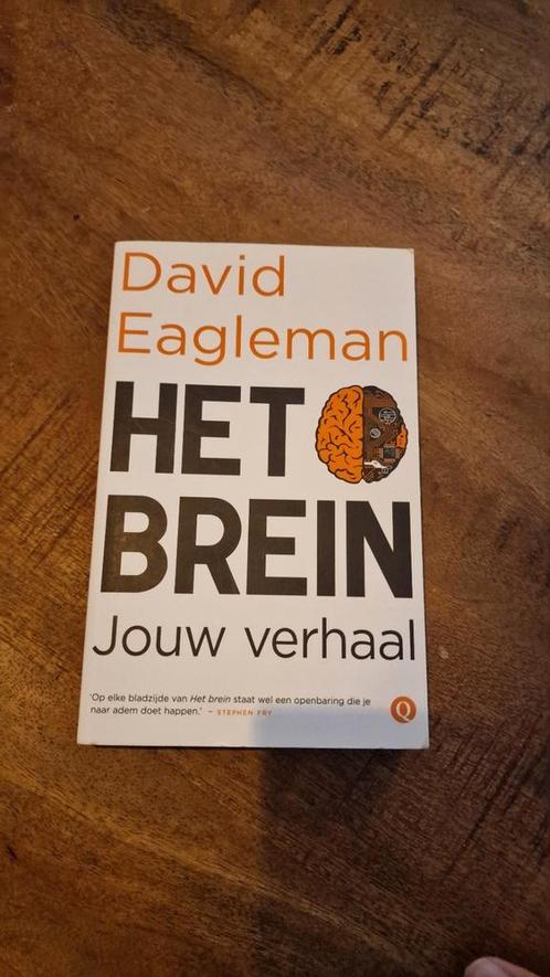 David Eagleman - Het brein, Boeken, Psychologie, Zo goed als nieuw, Ophalen