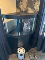 Aquarium, Dieren en Toebehoren, Ophalen of Verzenden, Gebruikt, Leeg aquarium