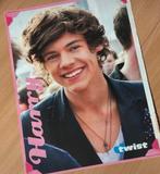 Harry Styles poster One direction A4, Verzamelen, Muziek, Artiesten en Beroemdheden, Verzenden