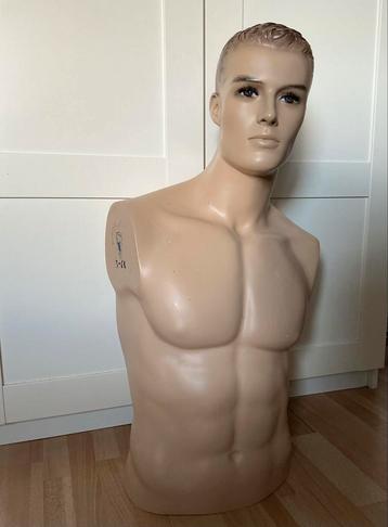 Paspop Torso - Man beschikbaar voor biedingen