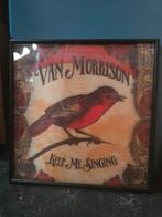 Van Morrison hologram ingelijst, Verzamelen, Ophalen, Zo goed als nieuw, A1 t/m A3, Film en Tv