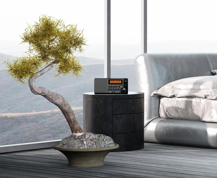 SANGEAN DDR-31+ FM & DAB+ Radio + Wekker      >>NIEUW<<, Audio, Tv en Foto, Radio's, Nieuw, Radio, Ophalen of Verzenden